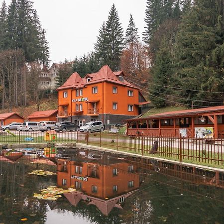 Vila Bradul Лаку Рошу Экстерьер фото