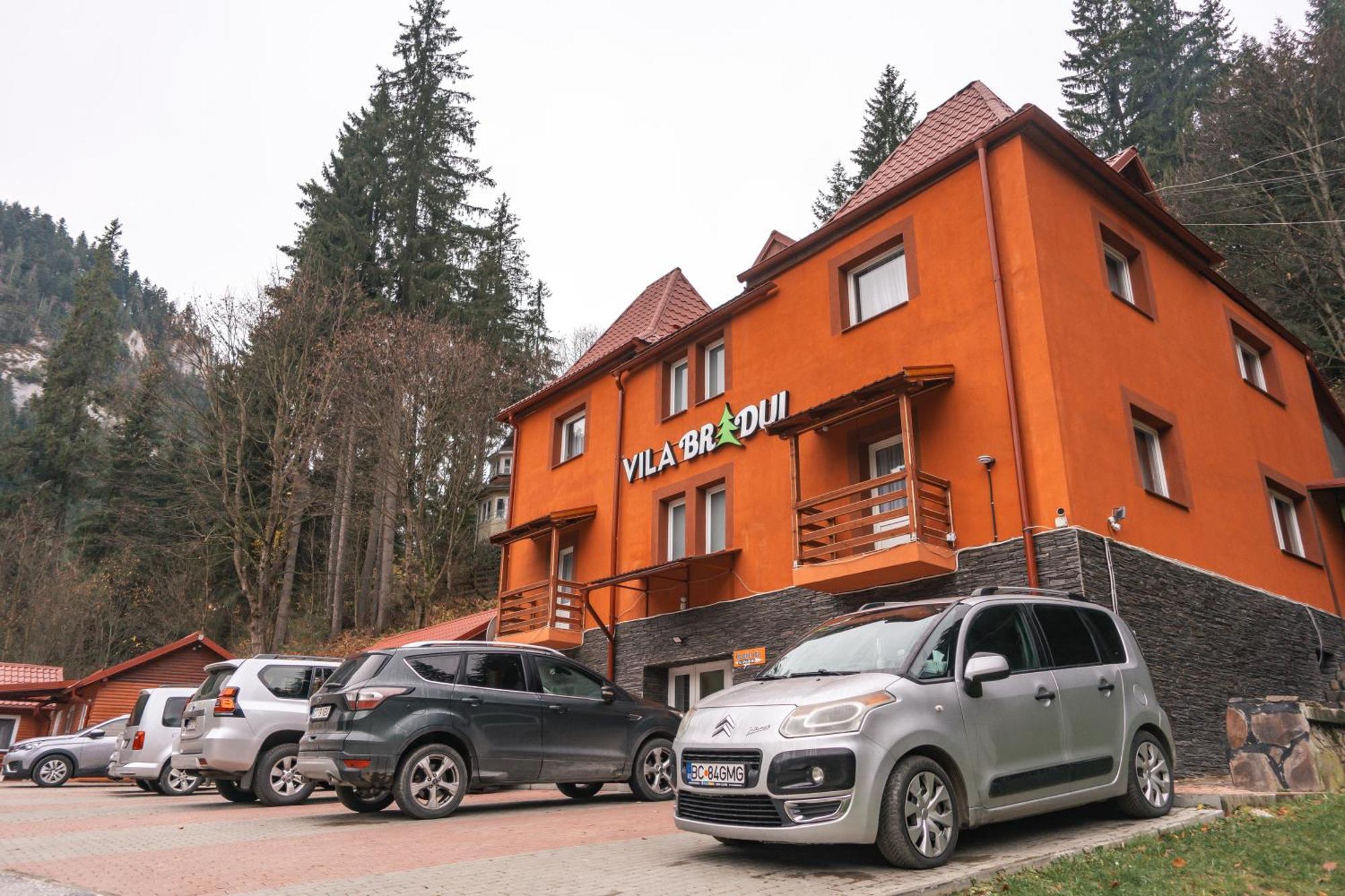 Vila Bradul Лаку Рошу Экстерьер фото