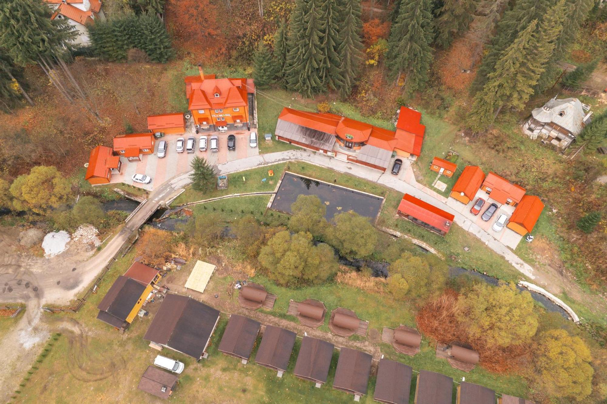 Vila Bradul Лаку Рошу Экстерьер фото