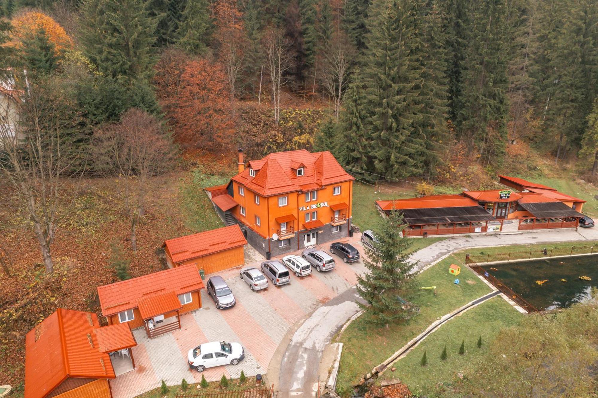 Vila Bradul Лаку Рошу Экстерьер фото